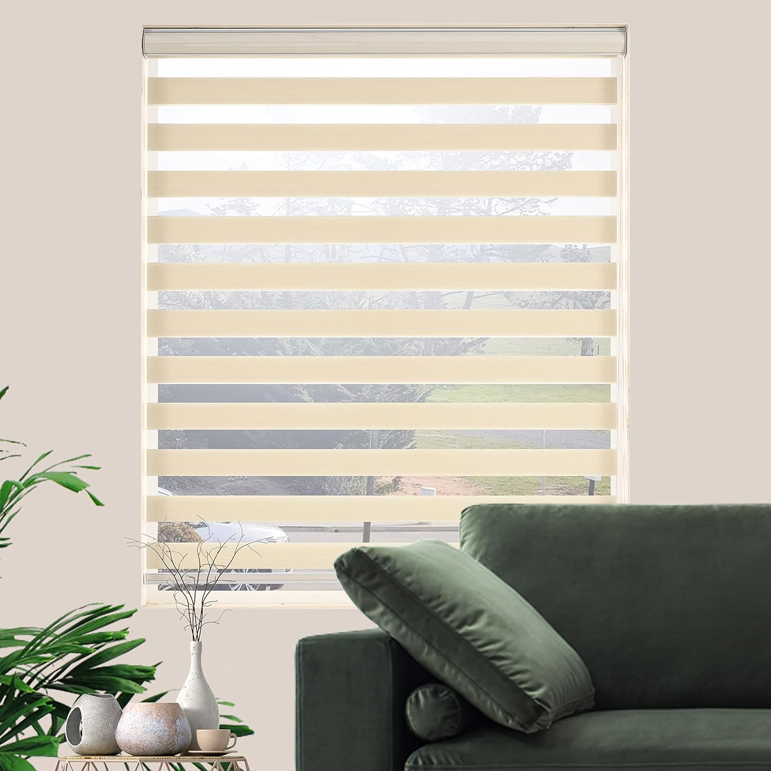 Day and Night Blinds